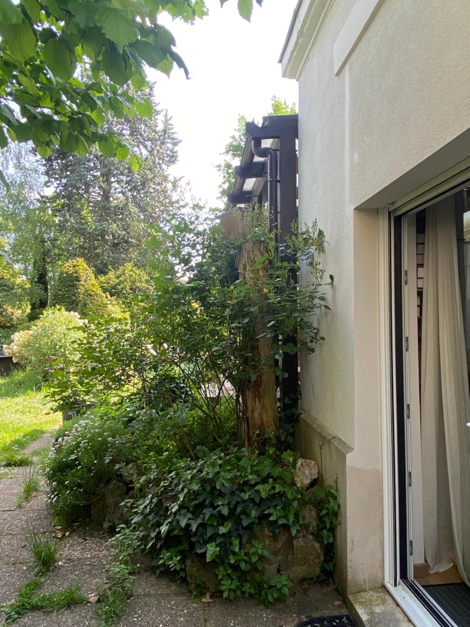 Les Charmettes Chambre D Hotes Villemoisson-Sur-Orge Luaran gambar