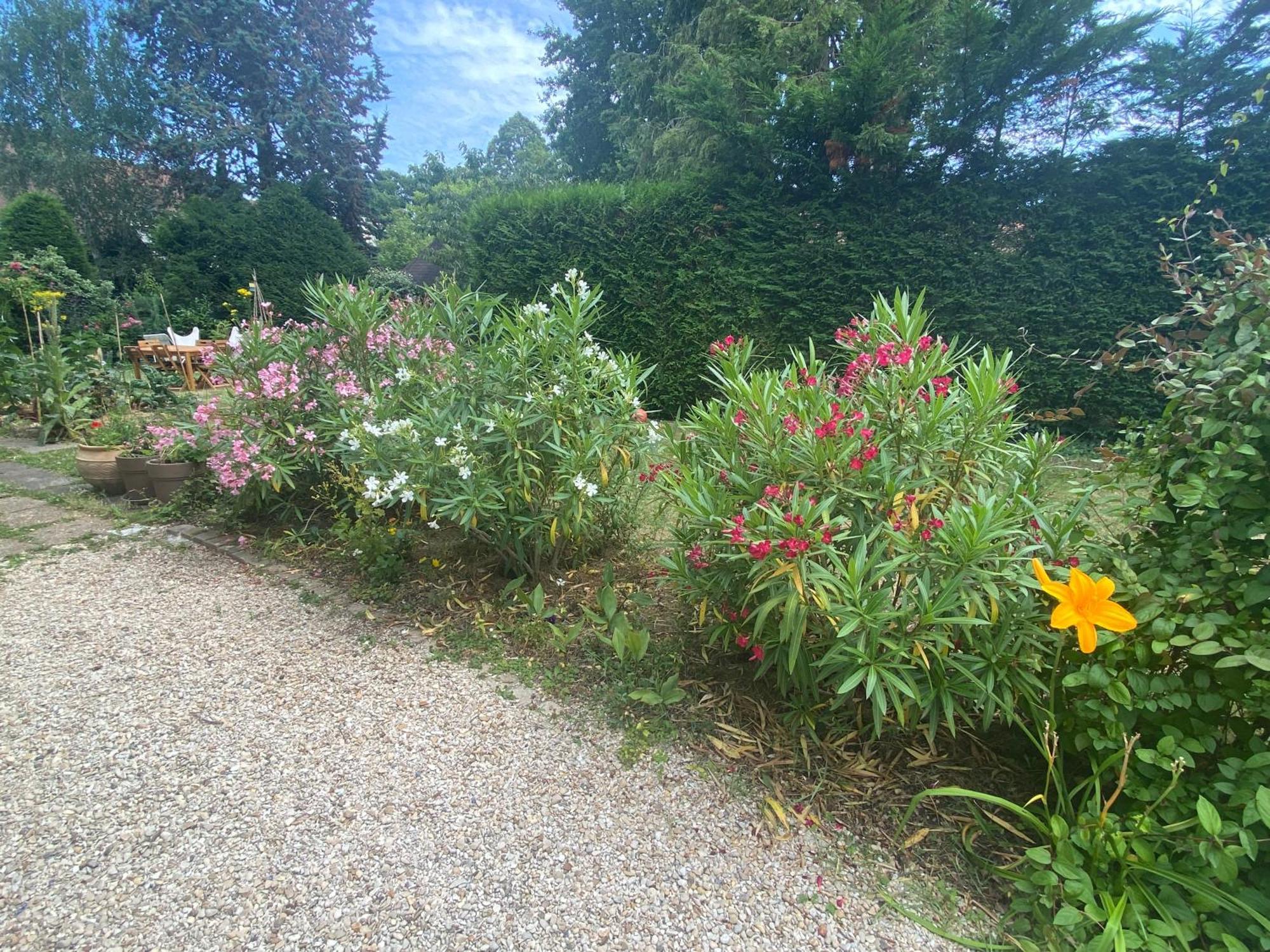 Les Charmettes Chambre D Hotes Villemoisson-Sur-Orge Luaran gambar